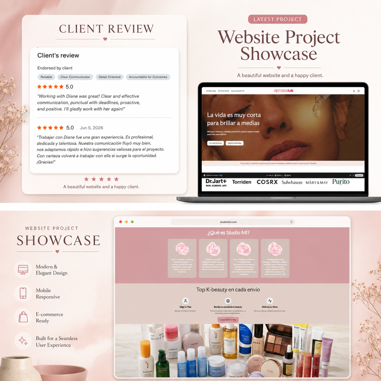 Funnel optimization developers developer - Diane M.'s portfolio image