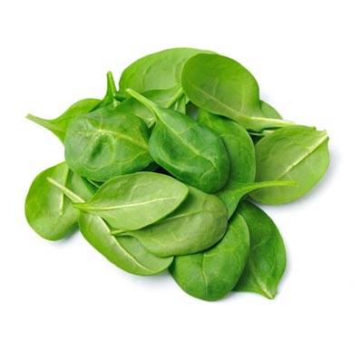 Trulean Ageless Super Greens Powder - Spinach