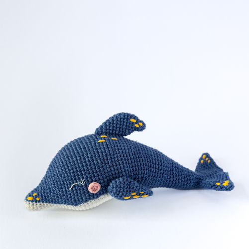 Donut the Dolphin