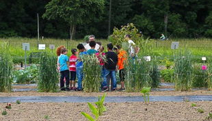 wissenschaftsscheune auf dem acker