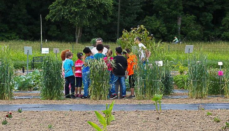wissenschaftsscheune auf dem acker