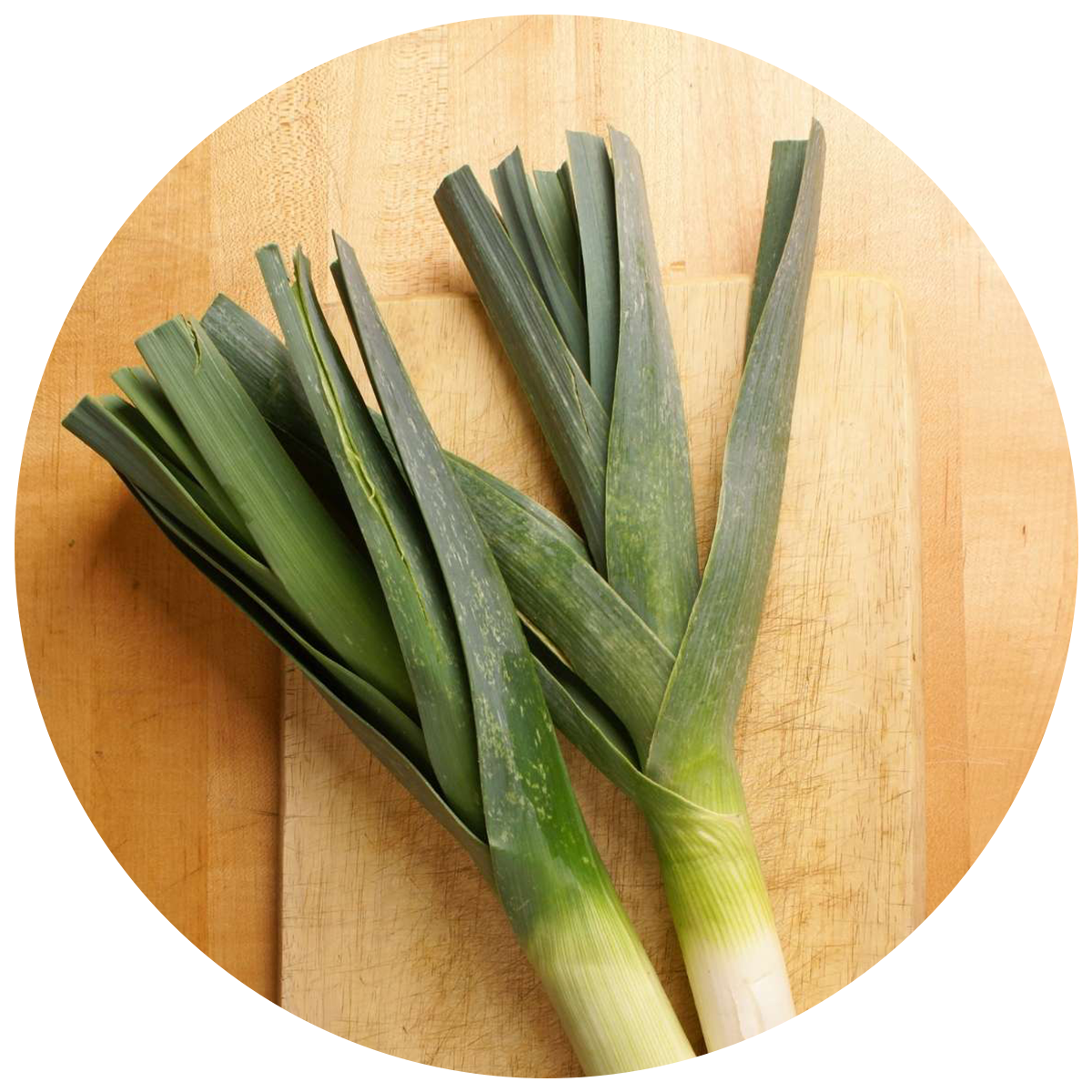 Leeks as a source of Prebiotics in the best probiotics in singapore