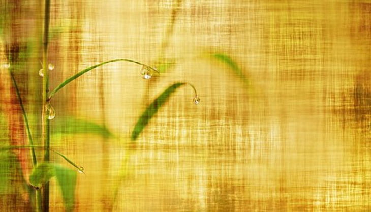 sdp wassertropfen px