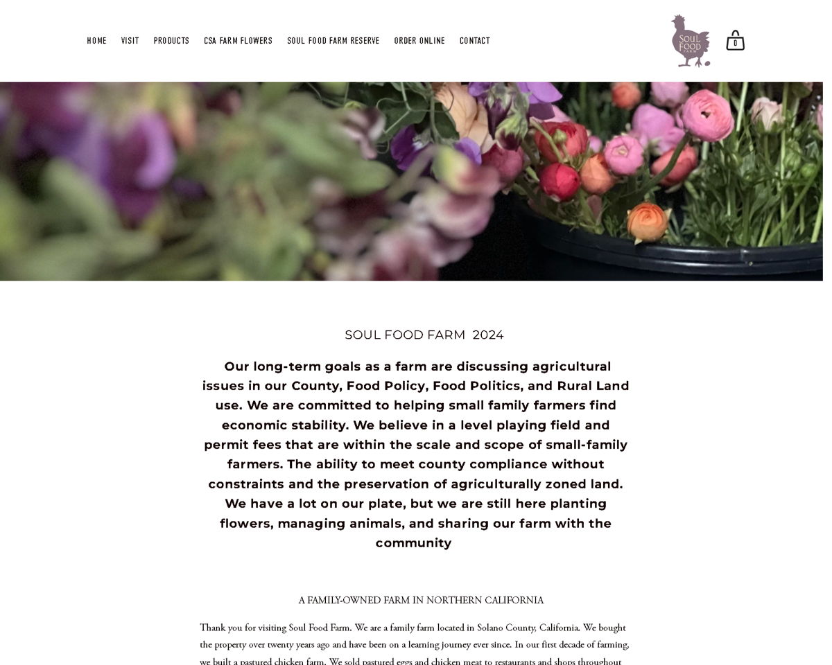 Screenshot of Soul Food Farm, from the white websites collection.