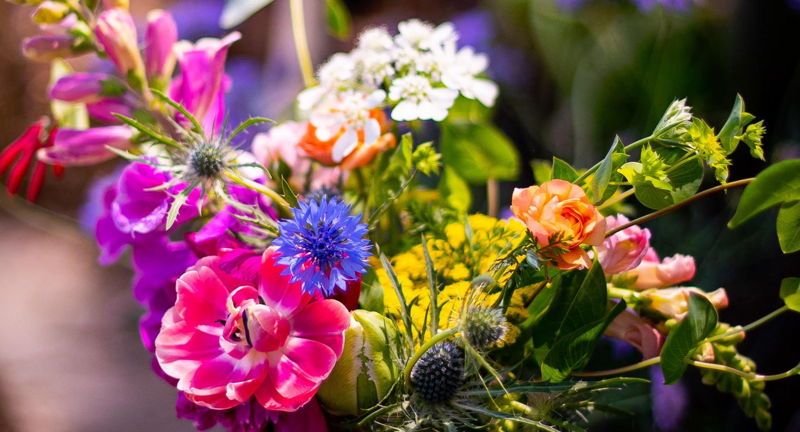 Arranging the Rainbow: Floral Arranging Workshop with Midtown Bramble & Bloom