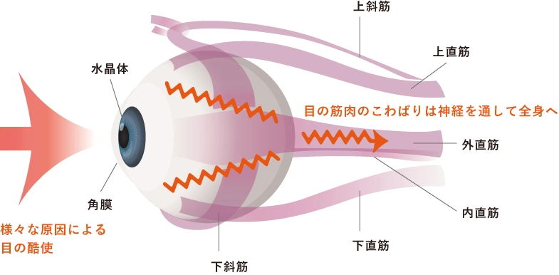 見るしくみから考える
