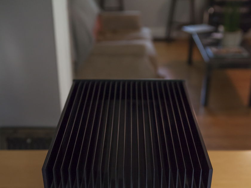 Clayton Audio M300 300 Watt Pure Class A Monoblock Amplifiers Solid