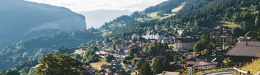  Thalwil - Schweiz
- EV - JIiF 02-2021, Titelbild (1).jpg