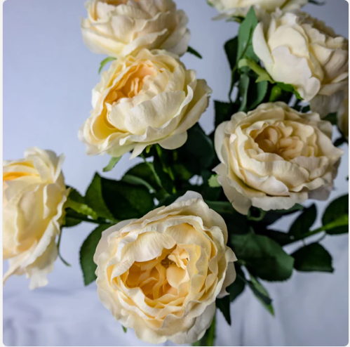 Pale Peach David Austin Half Bloom Real Touch Rose - Realistic Artificial Flowers