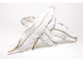 White/Gold Feathers Wall Decor