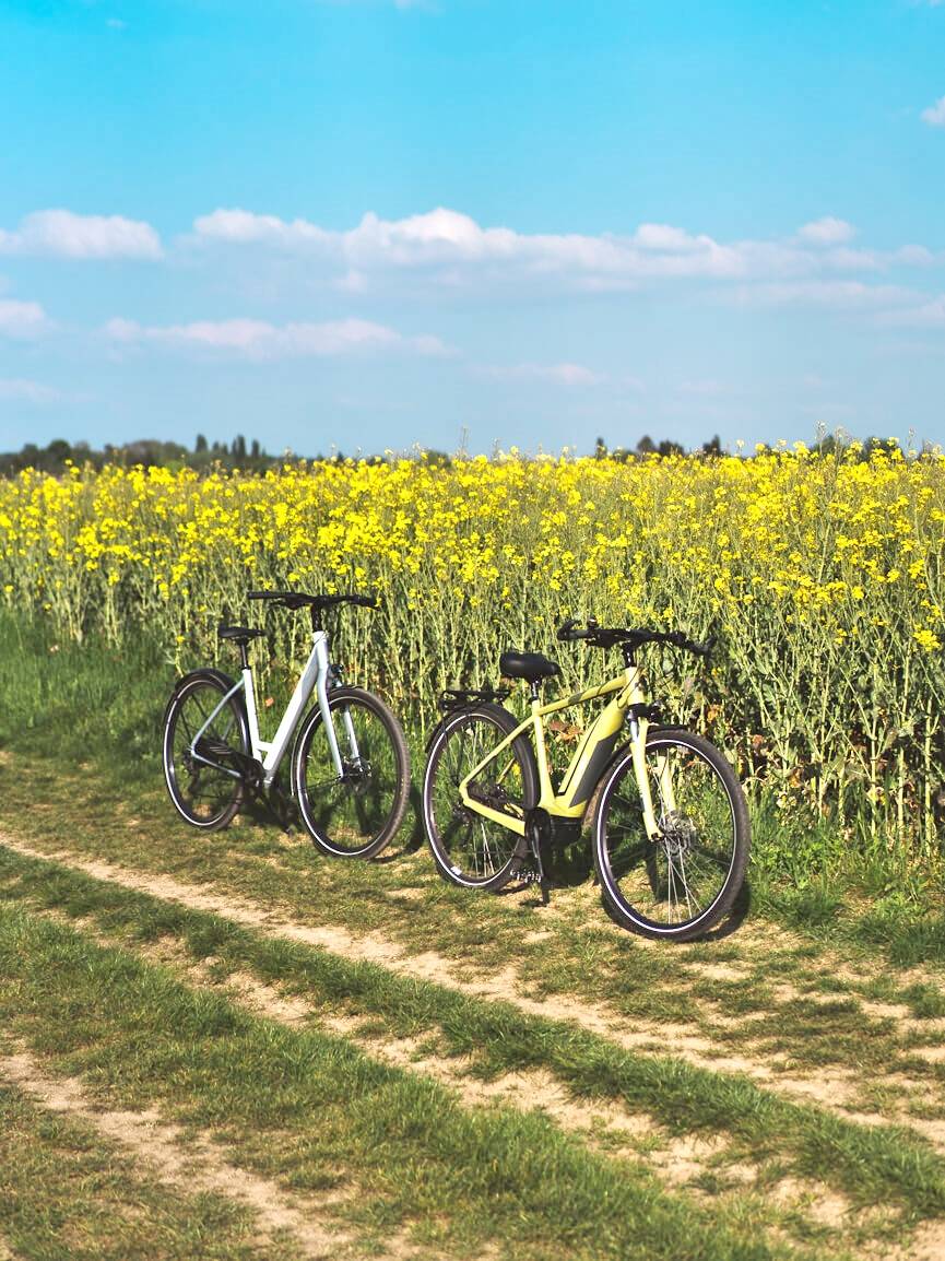 Elektrische fietsen vervoerd met de auto voor een weekend op het platteland.