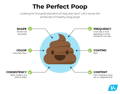 Illustrated dog poop chart outlining the 6 characteristics of the perfect dog poop. 