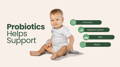 Probiotics Help Support Chart | My Organic Company