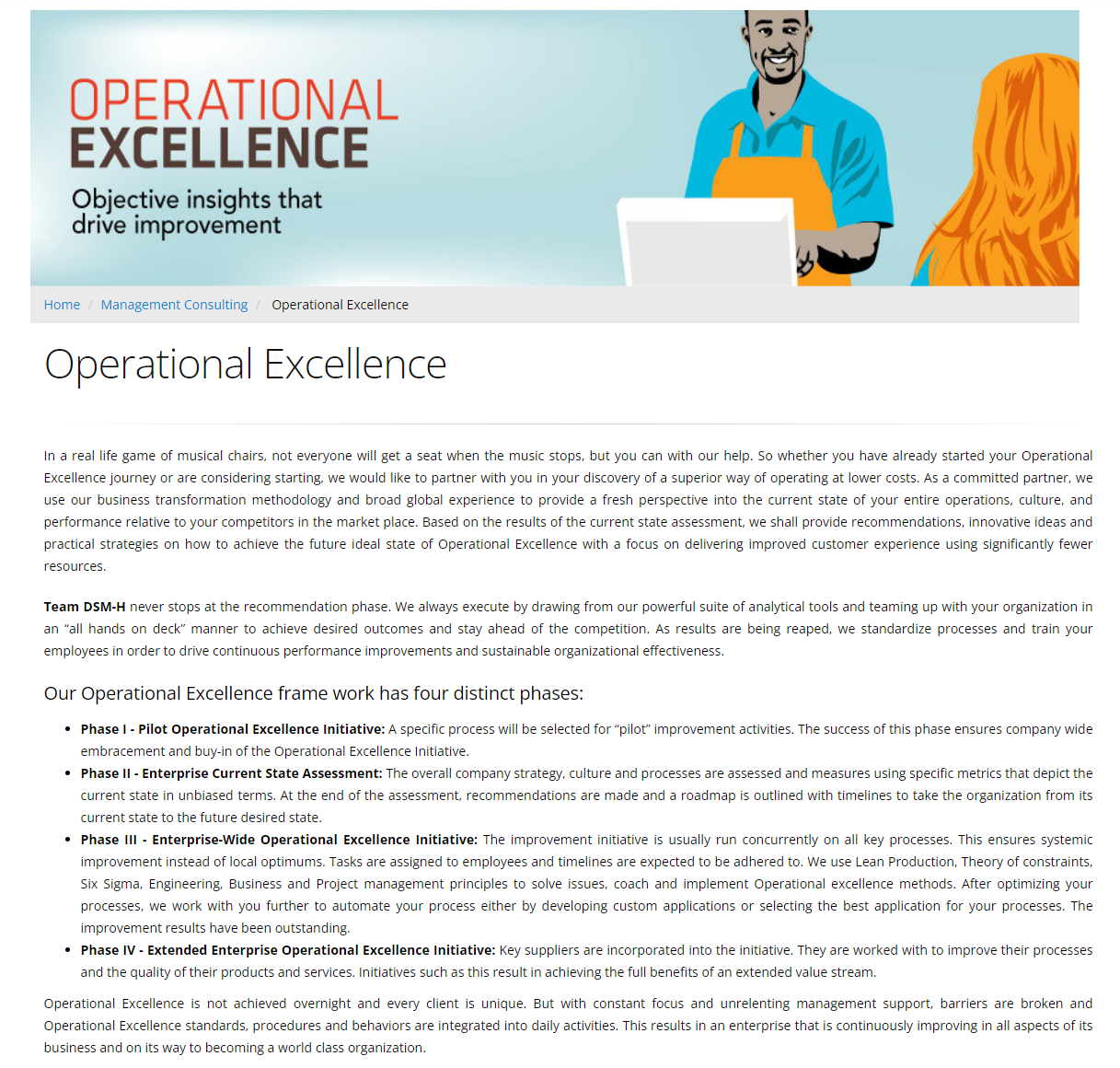 DSM-H Consulting product / service