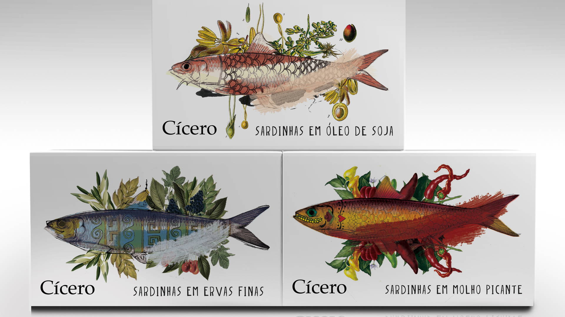 Featured image for Student: Cícero - Flavors of the World