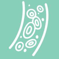 Améliore la circulation sanguine