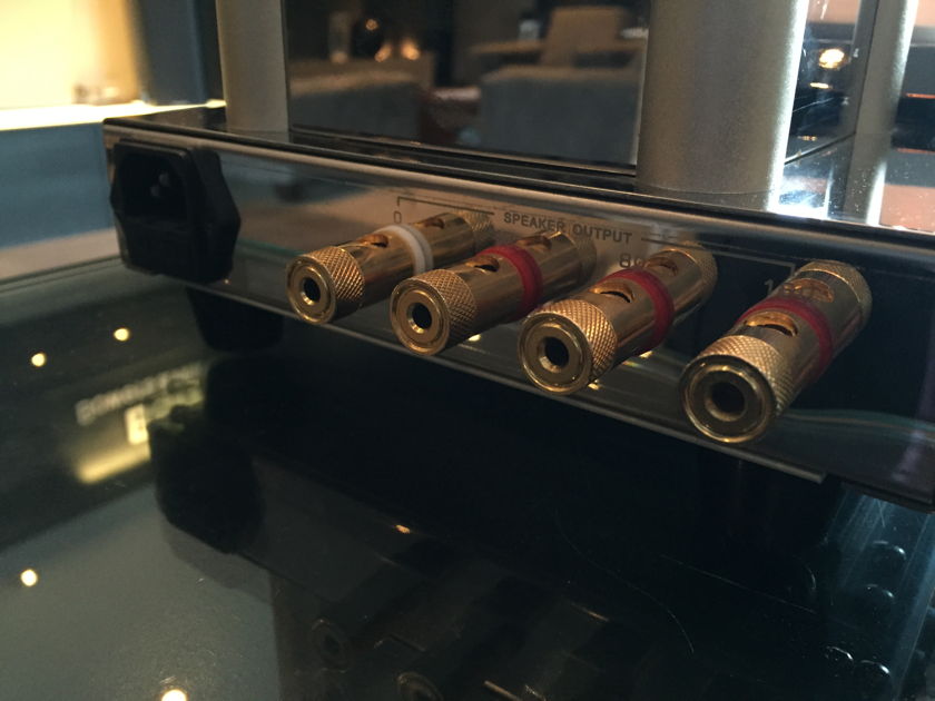 Dared Audio DV-300b tupe amp