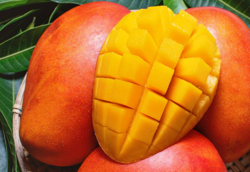 マンゴー 賞味期限