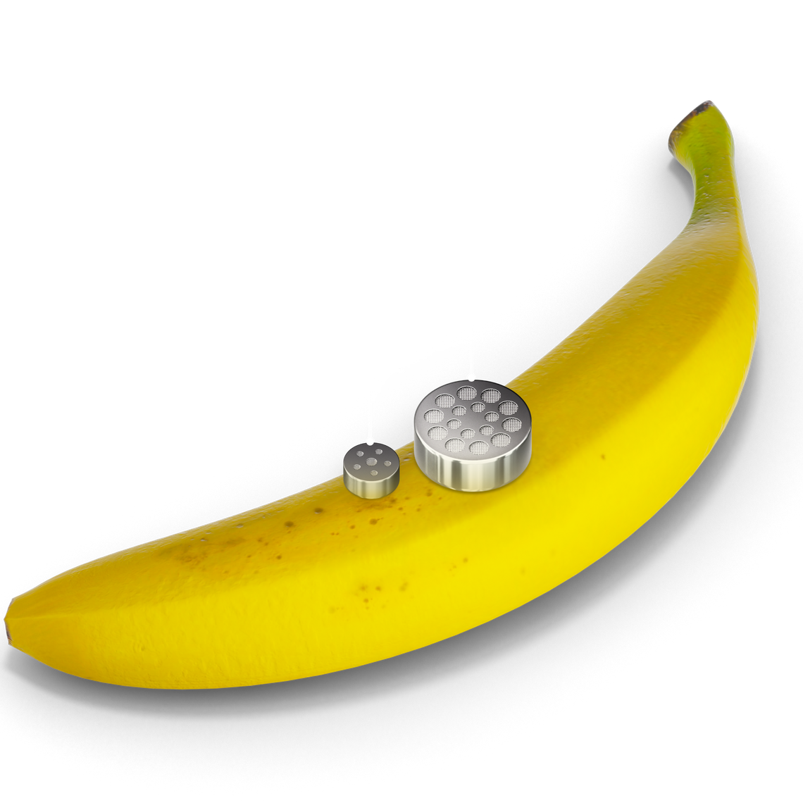 バナナとの比較