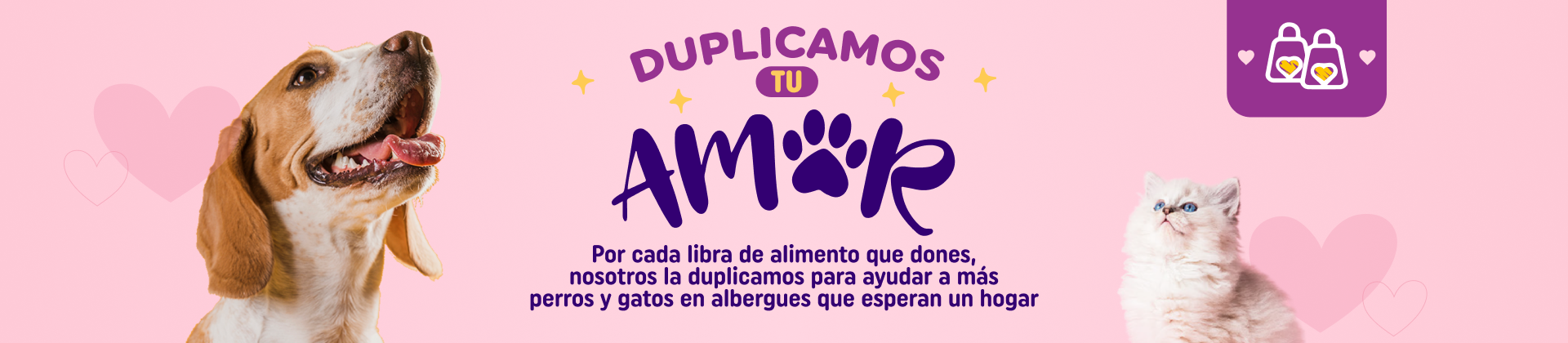 arca de noe duplica tu amor en alimento