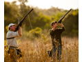 Dove Hunt for 2 : Atascosa / Bexar County