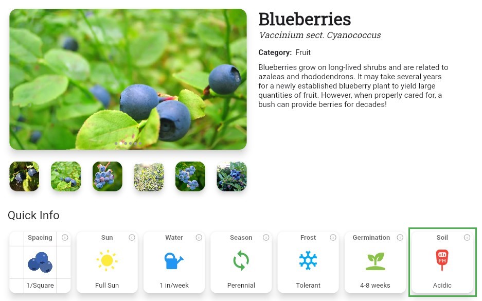 A screenshot of blueberries in Planter with the Soil pH Quick Info card highlighted