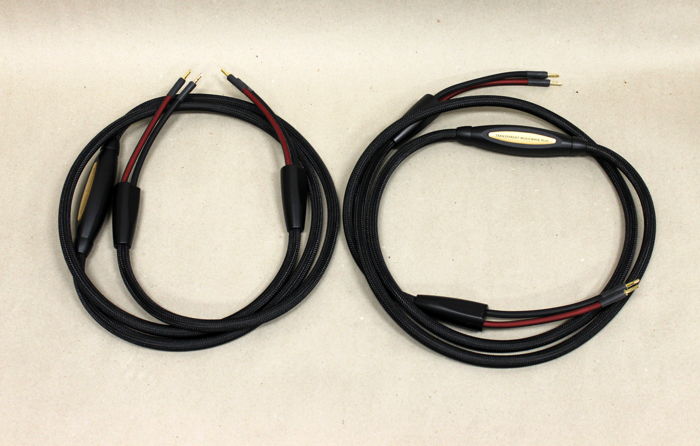 Transparent Audio MWP10 Speaker Cables in MM2 Tech, Fac...
