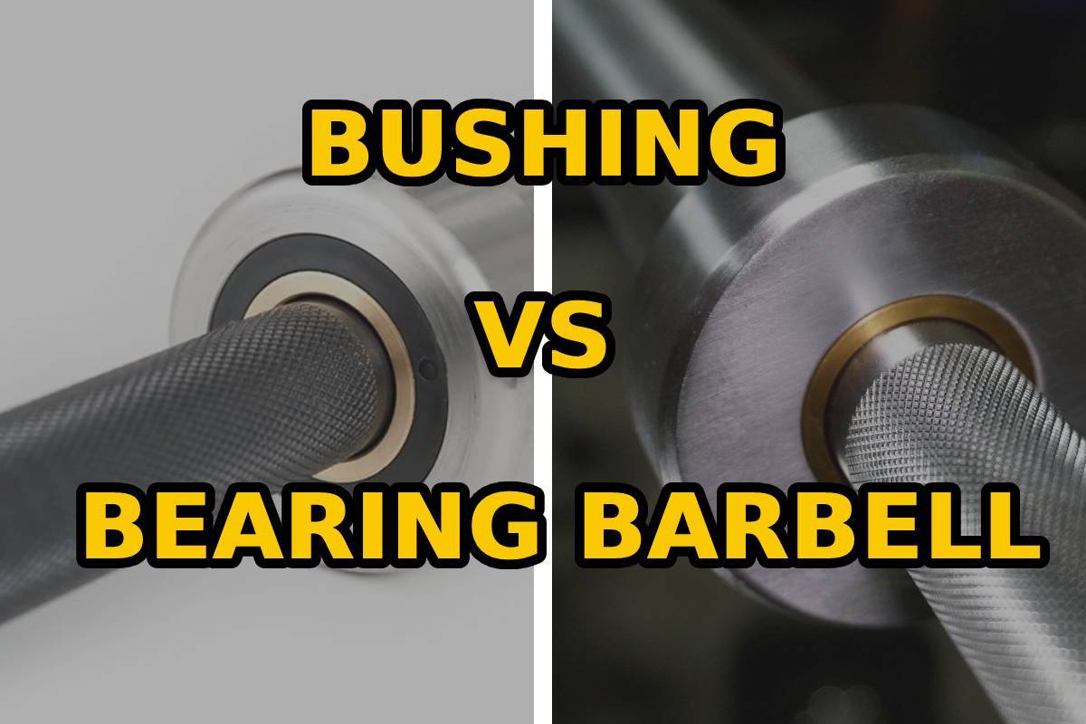 Bushing vs bearing barbell
