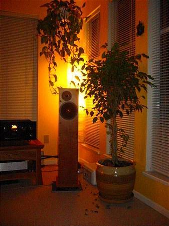 plants love music