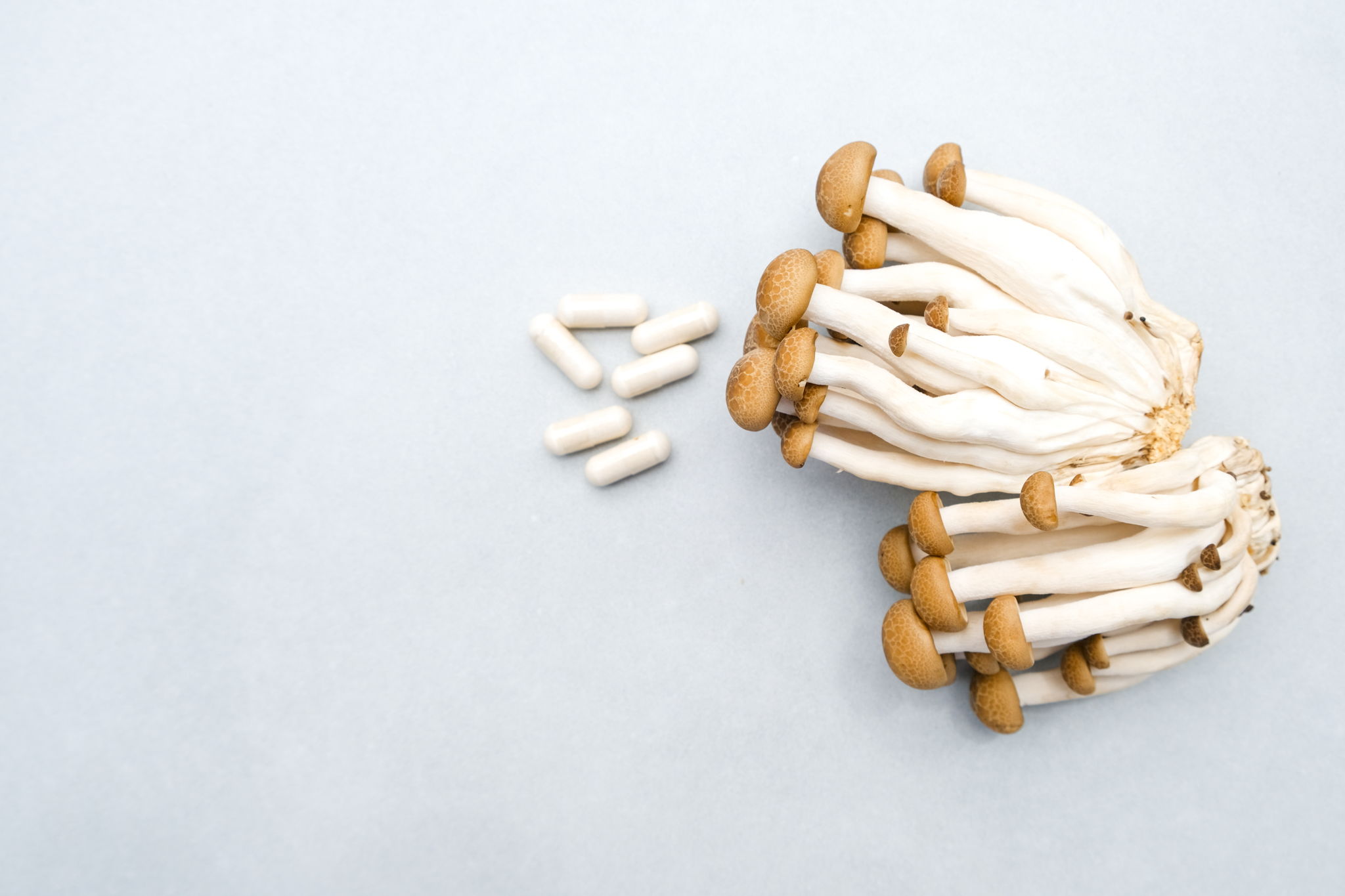 Mushroom Coffee: Nutritional Mainstay or Just Another Fad? -