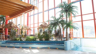 bg wonnemar sonthofen erlebnisbad innen botanik palmen