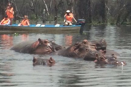 hippos-in-lake-naivasha.jpg