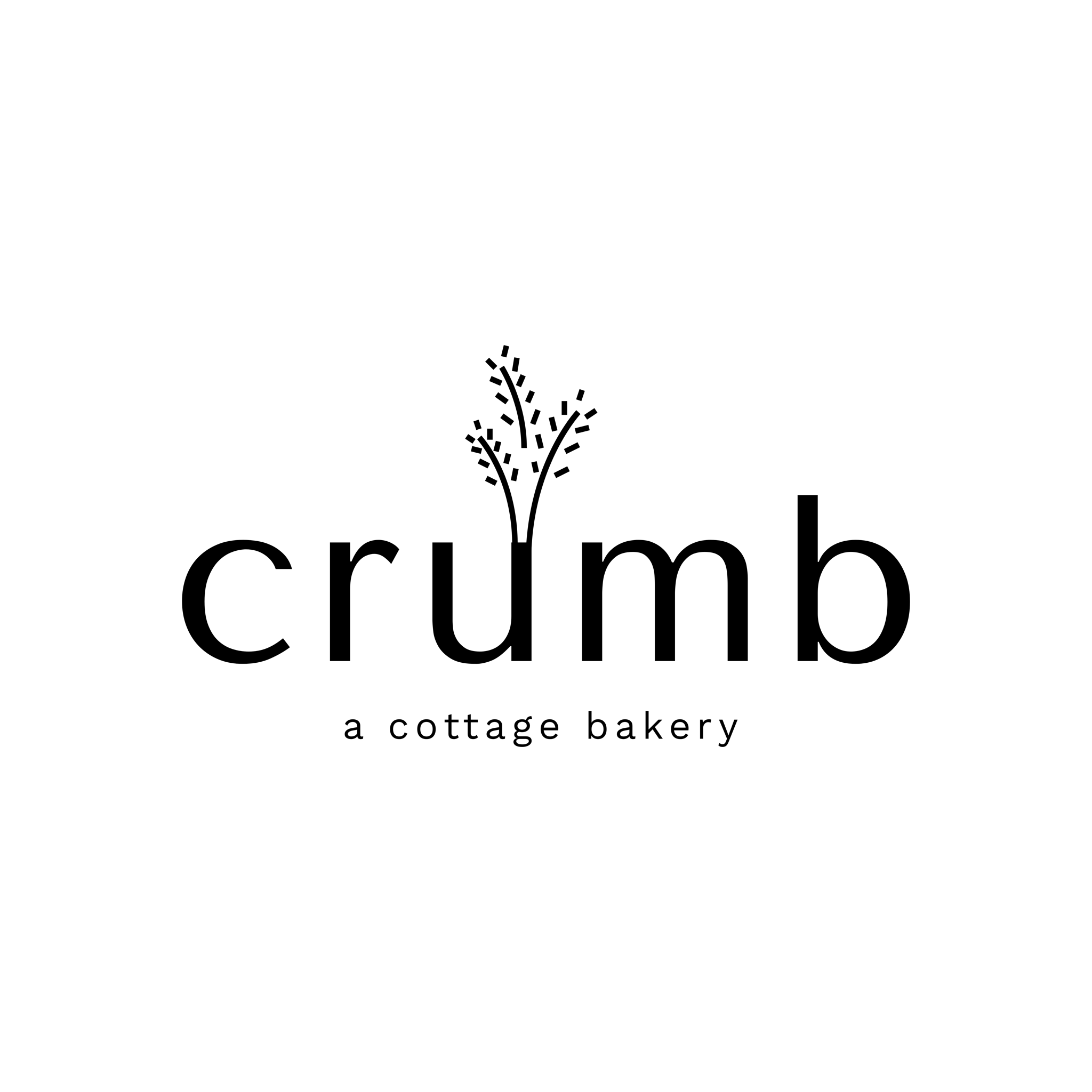 crumb sourdough — photo from hotplate.com