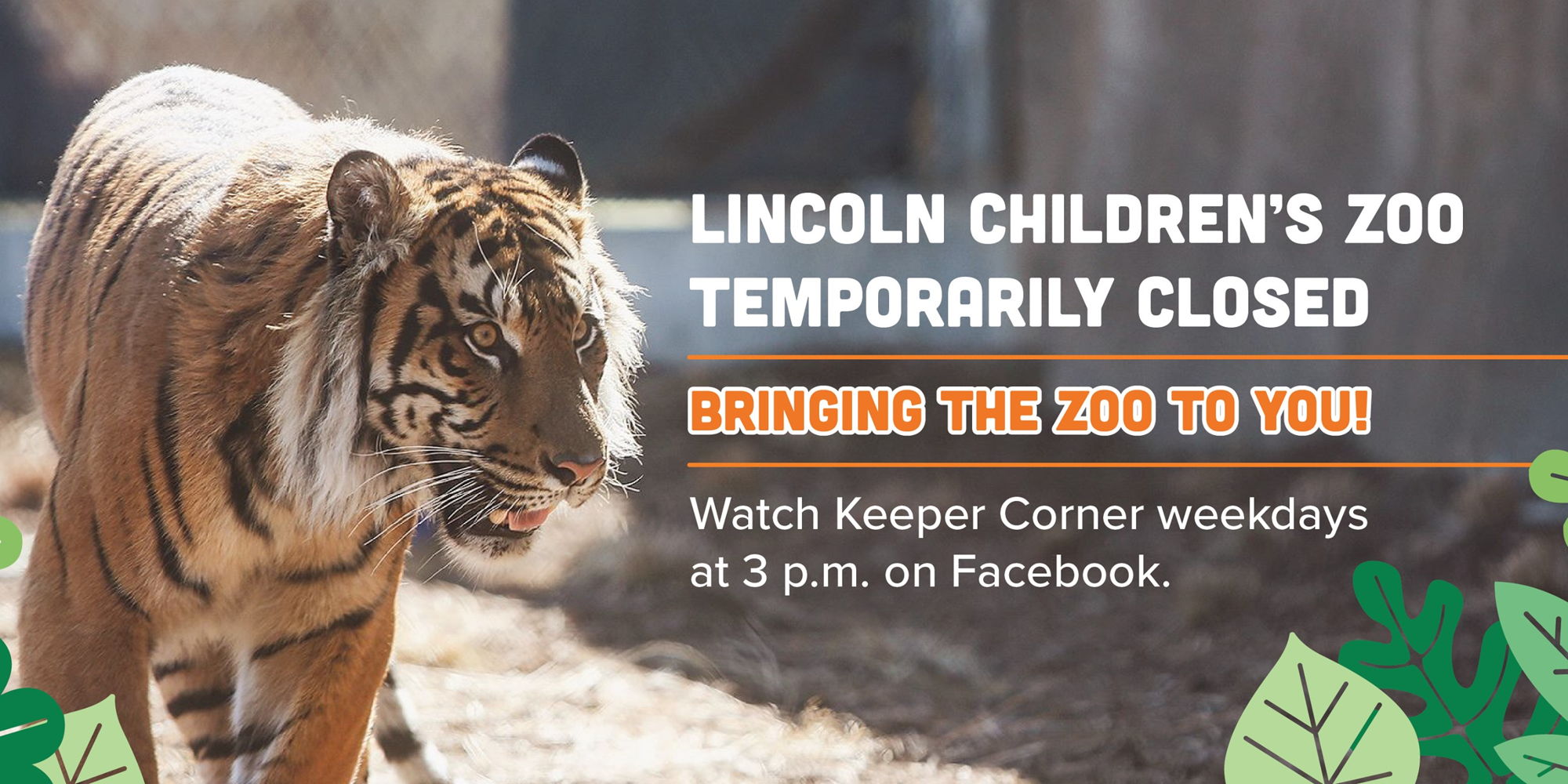 Lincoln Children's Zoo Keepers Corner promotional image