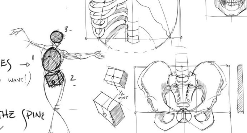 Advanced Figure Drawing: Heads and Facial Features