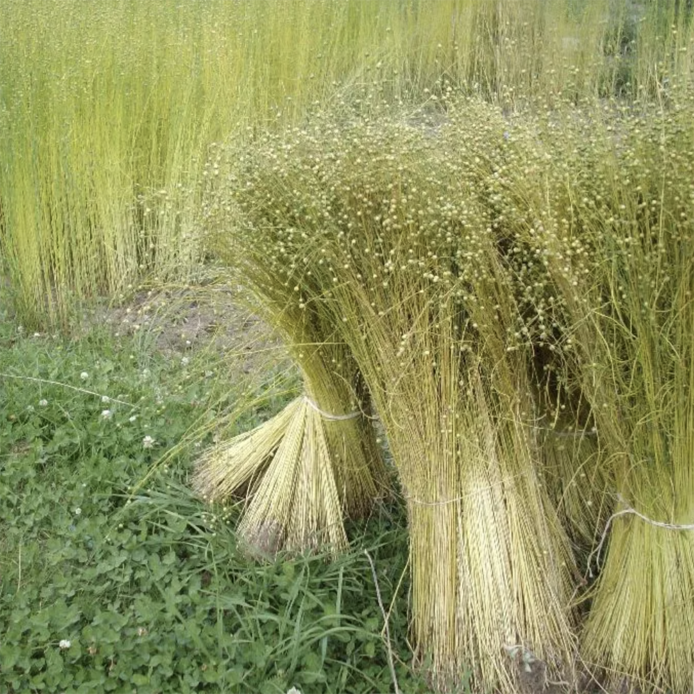 A bushel of flax.