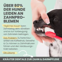Kräuter Dentals für Hunde zur Zahn- und Darmpflege