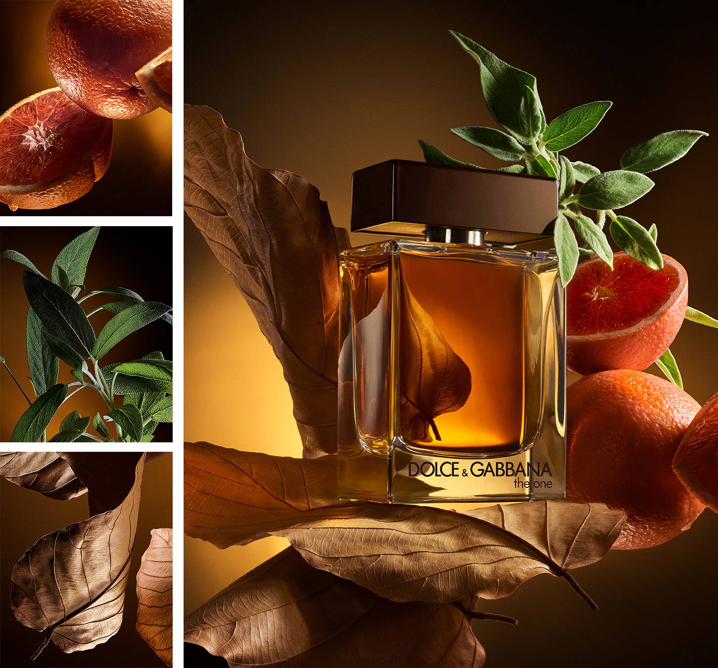 ドルチェ＆ガッバーナ ザ・ワン フォーメン オードパルファム