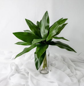Mini Calla Leaf ( 12 Pack ) - Realistic Artificial Flowers and Greenery