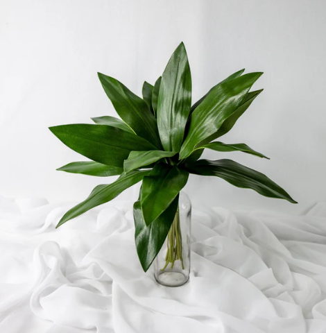Mini Calla Leaf ( 12 Pack ) - Realistic Artificial Flowers and Greenery