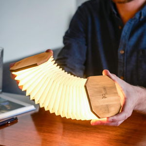 Accordion Lamp (for our van!)