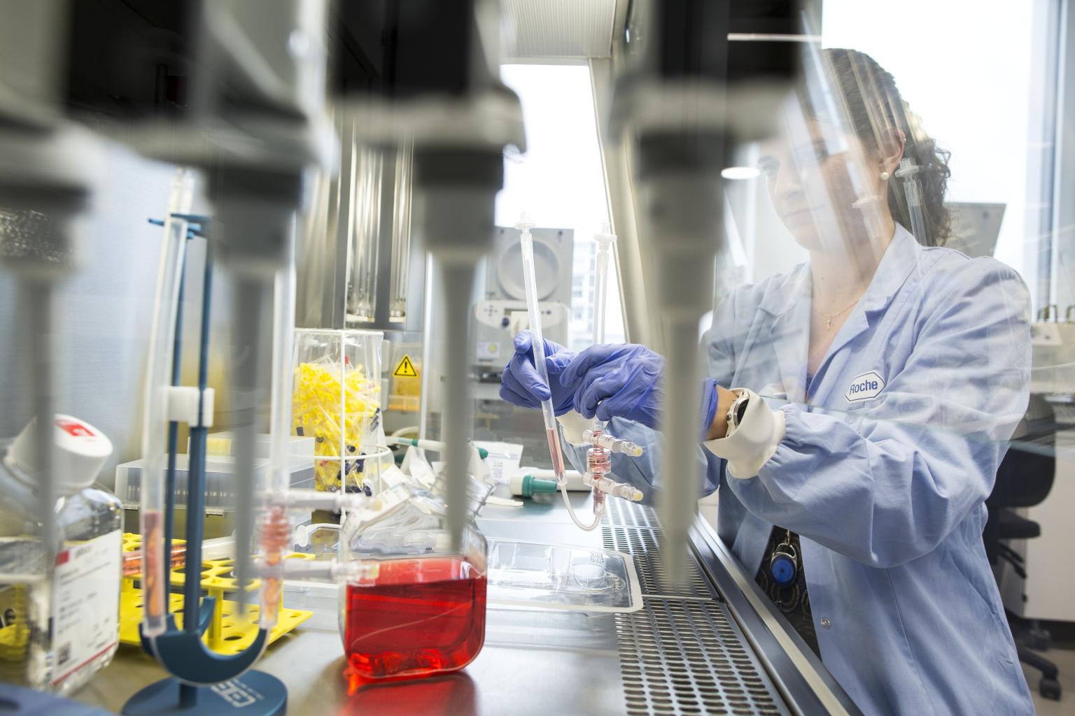 About Roche