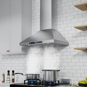 Adding A Kitchen Fume Hood