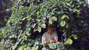 guido geisens lumbricus natur