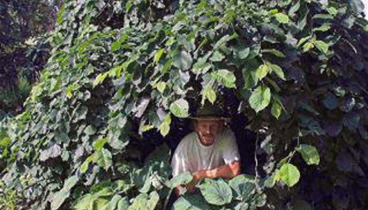 guido geisens lumbricus natur