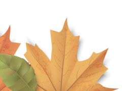 Alt Image