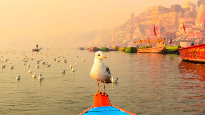 The Ganges River stands as a testament to the profound interconnection between nature and human life