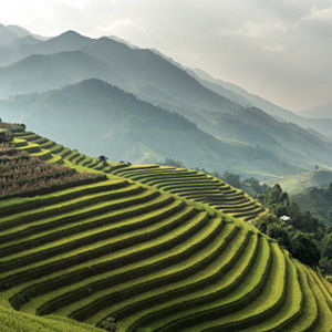 Our Dream Honeymoon in Bali