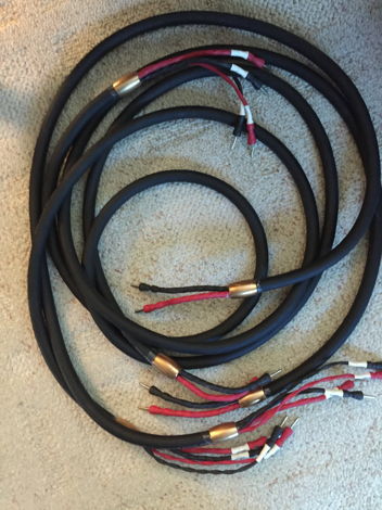 Cardas speaker cables