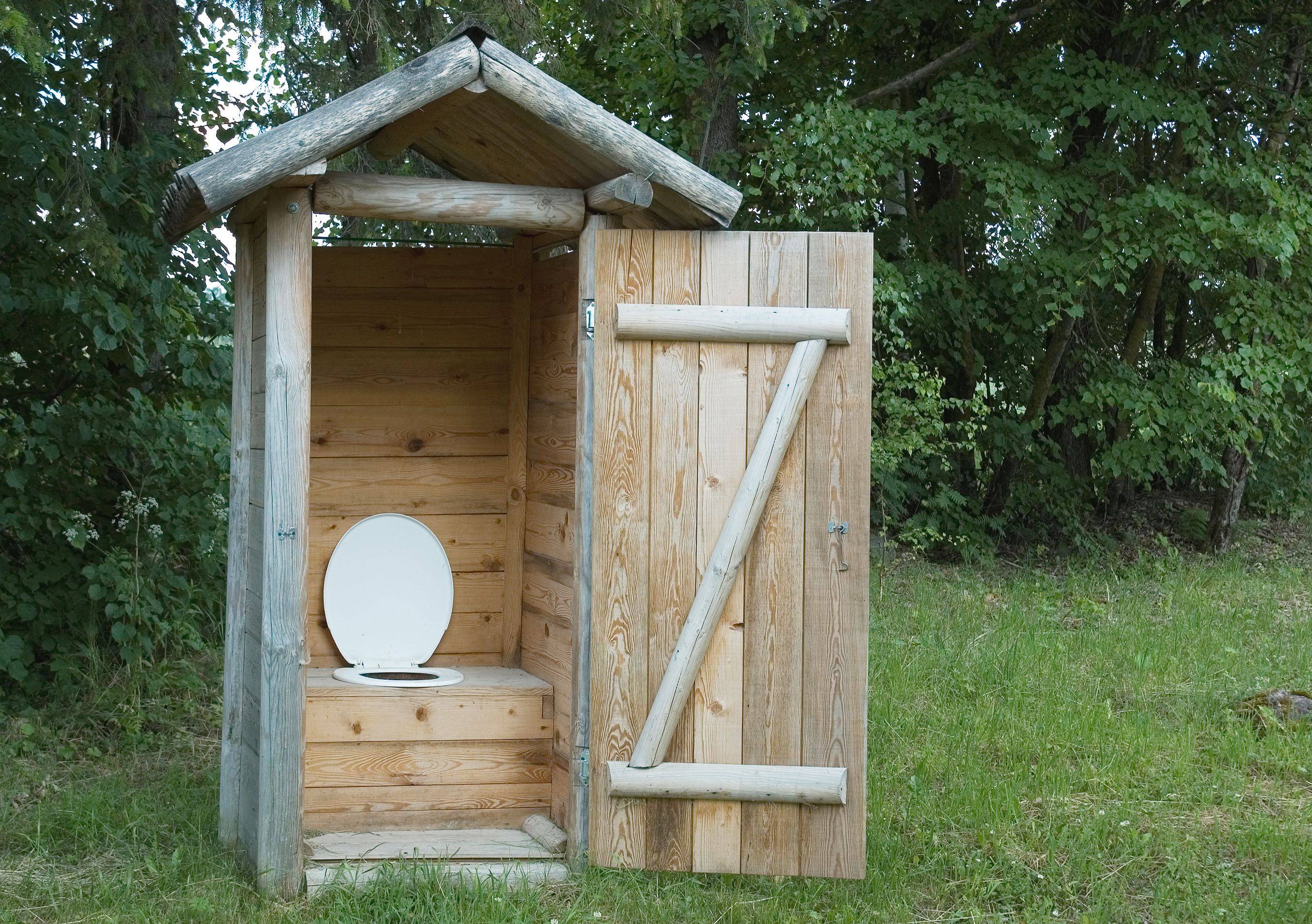 toilet in a wooded hut